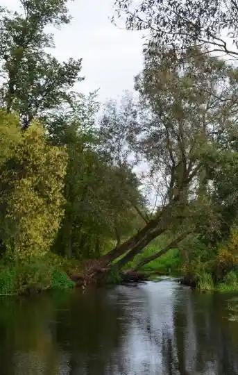 Фон подвала: сплавы на байдарках в Бресте (мобильная версия)