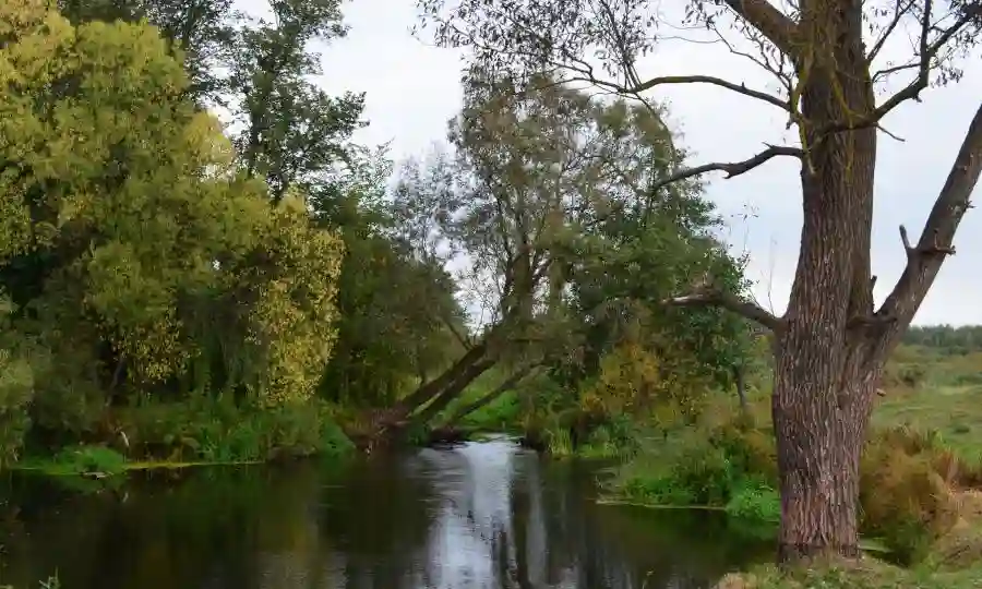 Фон подвала: сплавы на байдарках в Бресте